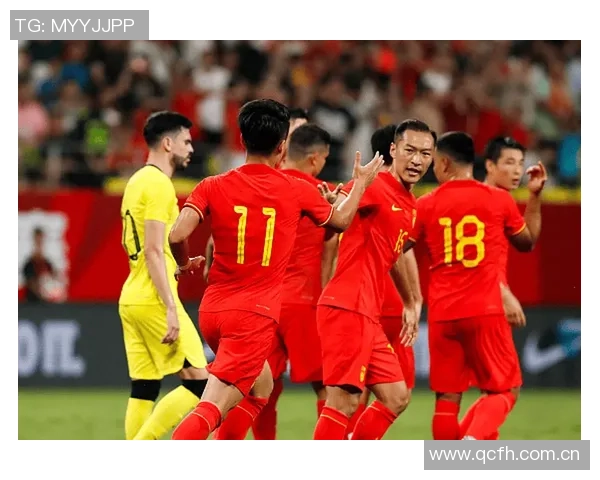 阿媒揭马来西亚归化球员身份造假问题祖父母均无马来西亚血统